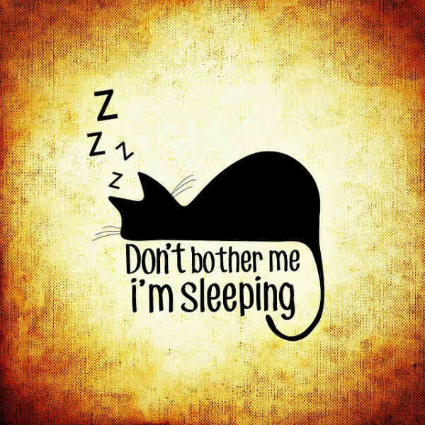 Don't bother me - I'm sleeping cartoon