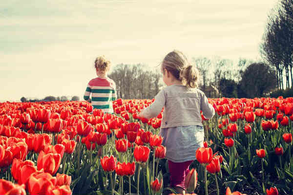 girls in flower fields