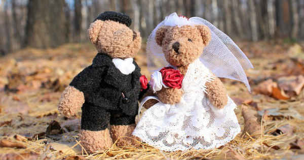 just married toy bears