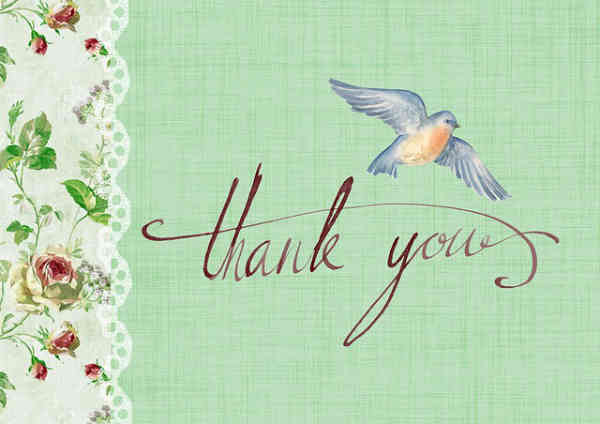 thank you card with bird