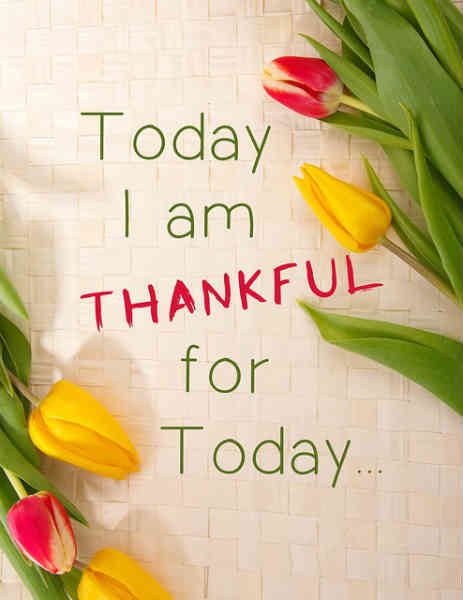 today I am thankful for today